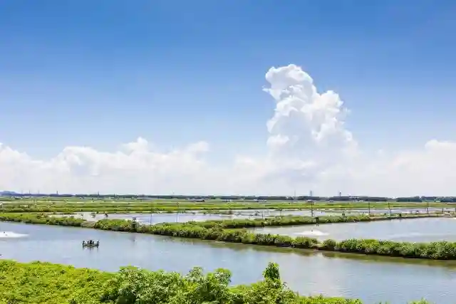 聚焦植物干细胞创新应用，共谋万亿水产养殖业绿色转型升级之路