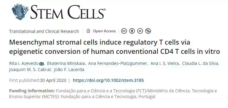 Stem Cells：间充质干细胞可诱导调节性T细胞的生成