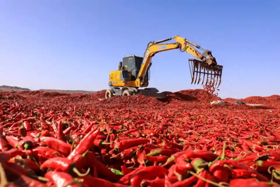 普通人上播客讲故事：声波起伏间，听见人生一段