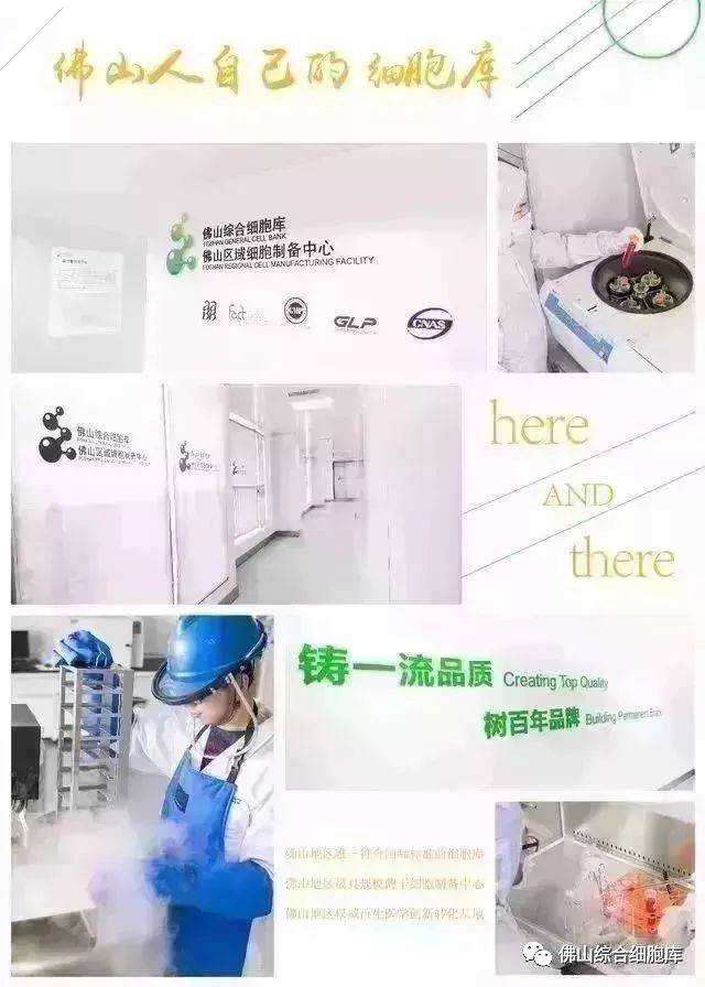 花光积蓄辞去工作，卖掉新房捐出干细胞扬中孝儿救母使出“洪荒之力”，曲终有憾却无悔