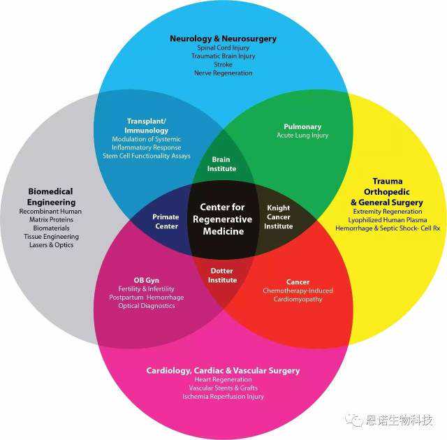 嫌疑人落网时，卡内余额4000多万元
