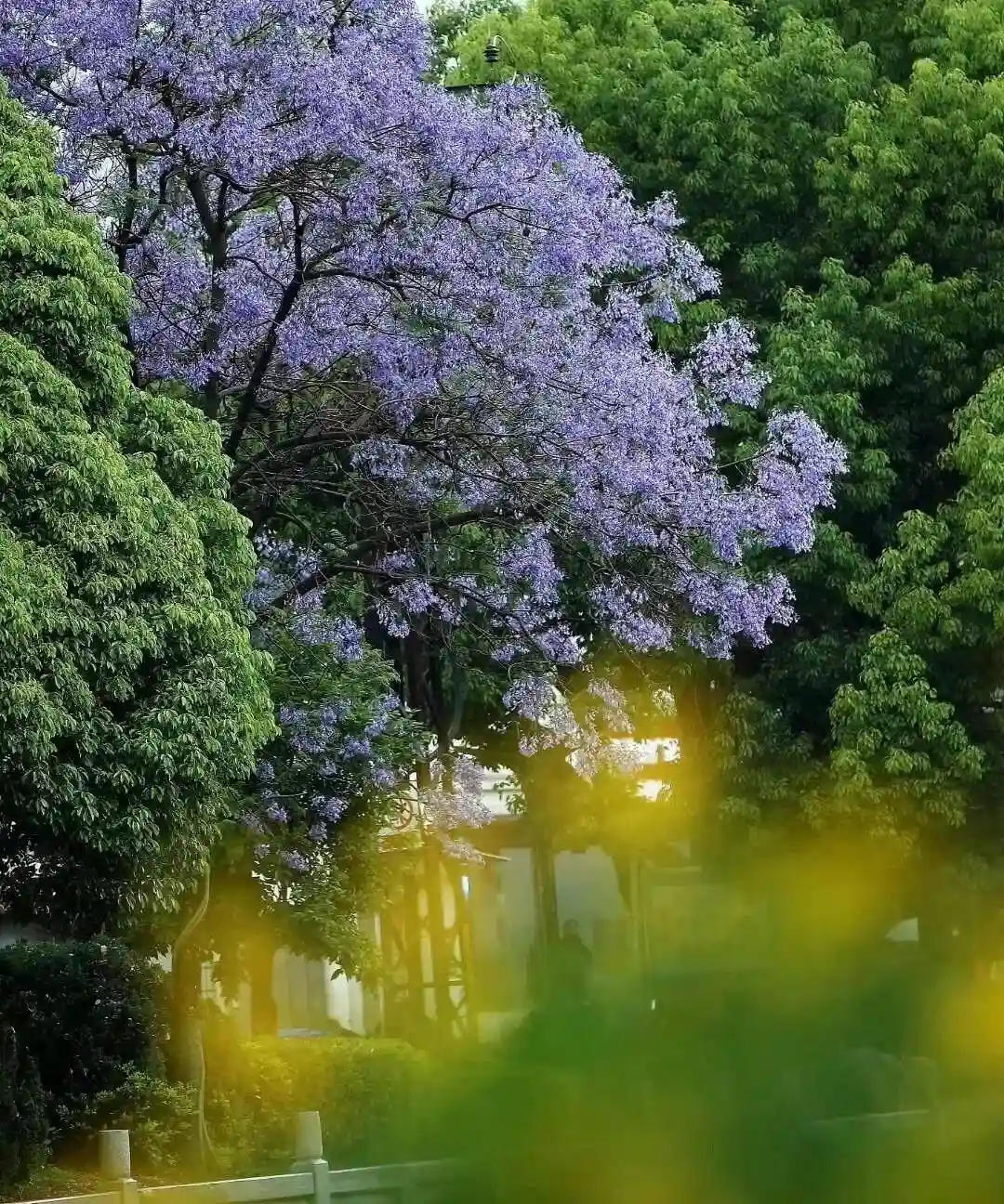 世界康养看中国，中国康养看云南