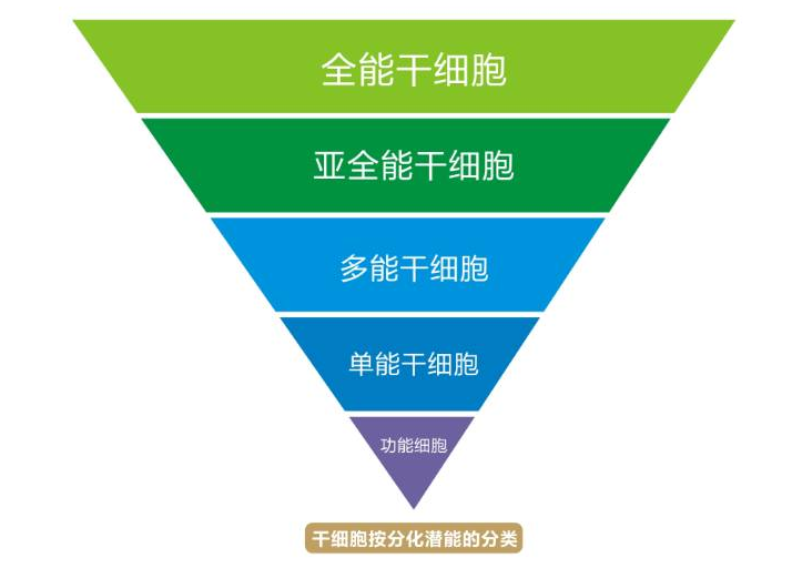 帮帮他们！服刑父亲等待为儿“续命”，只要有一丝希望，我们绝不放弃