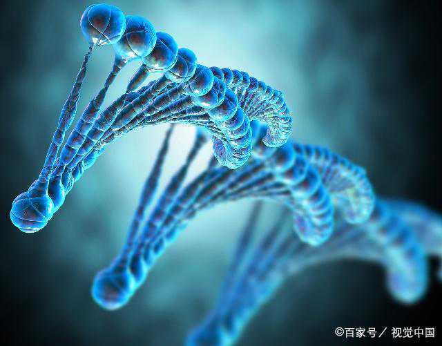 《崩溃大陆》“治愈”了我的癌症