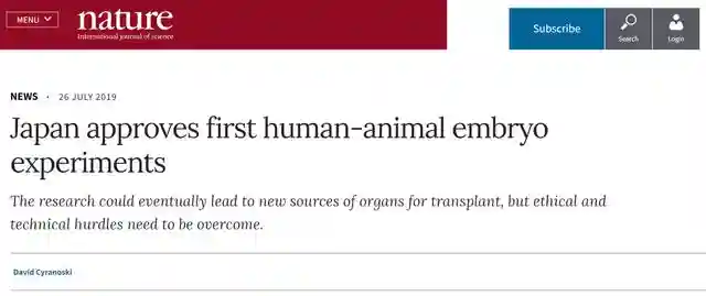 漩涡中的日本"人兽胚胎实验"，到底想做什么？嵌合体生物了解一下
