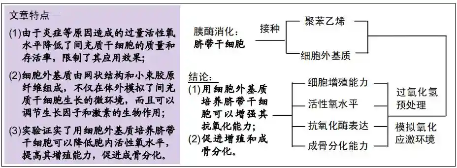 细胞外基质增强人脐带干细胞的抗氧化能力