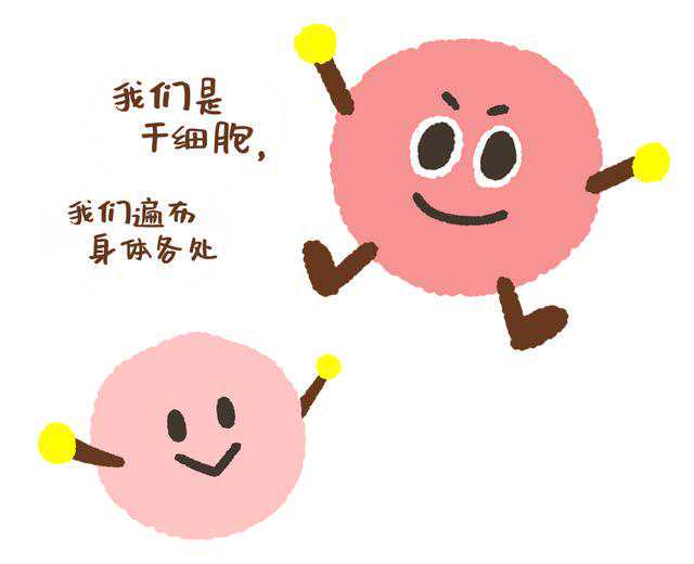 艾小羊：杨天真，病的不轻