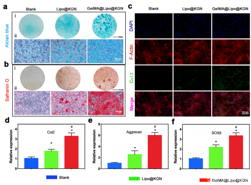 圣盖博谷的第一家韩国皮肤美容诊所正式开业