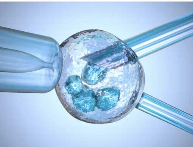 “Hold住姐”谢依霖二胎晒胎盘拓印！生娃后你的胎盘去哪了？