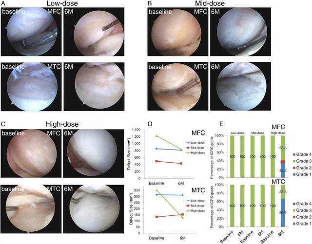 行走京津冀｜雄安新区癌症中心成立