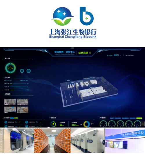 给血浆洗澡，为肝衰竭患者争取宝贵时间