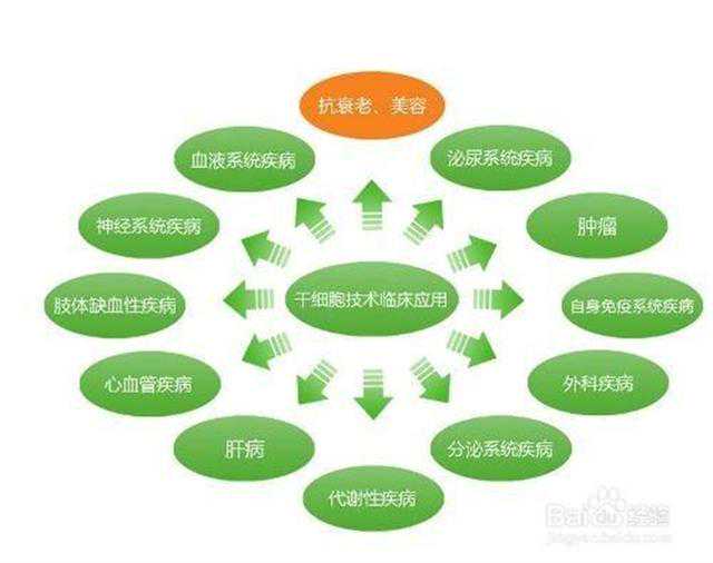 最新消息！义乌这个村要改造了，规划公示至月底，平面图曝光！