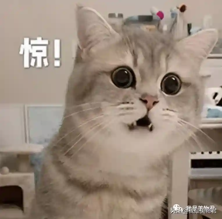 以色列：恕我直言，天然护理这块，在座的都是弟弟