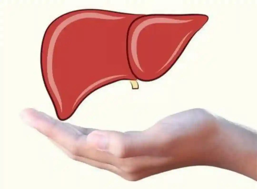 肝纤维化属于肝脏慢性疾病的一种，传染性极高，及早发现治疗