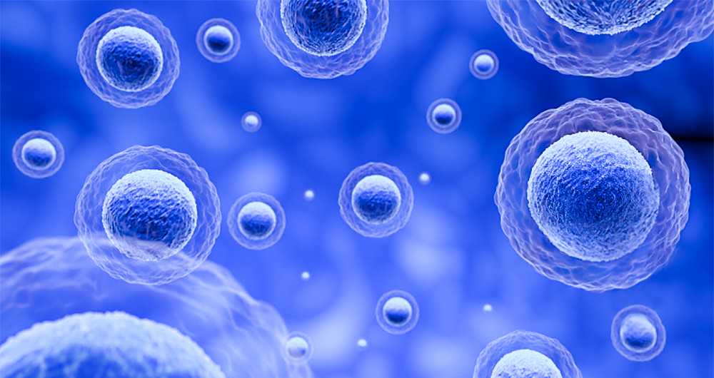 众多耶鲁大学教授为华人教授鸣不平