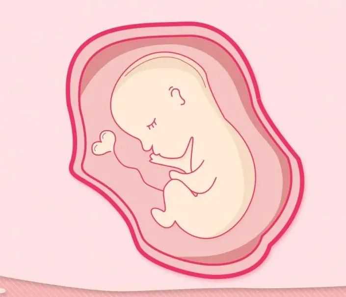 创新舞台上的“她力量”！第三届“浙江创新女杰”“浙江创业女杰”候选人公布