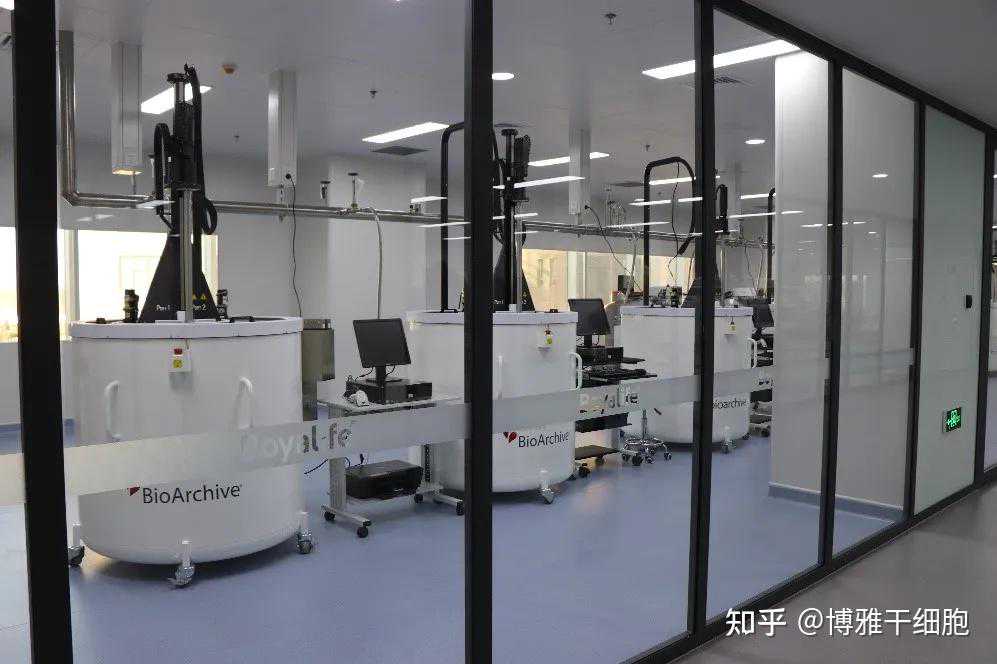 《营养翻译官》之多糖，调养免疫强动力：多糖 激活免疫的好帮手