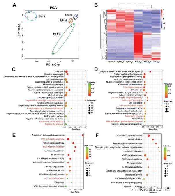 男孩出生12天患罕见病家人五年不吃肉;夫妻俩卖馒头郑州买车买房
