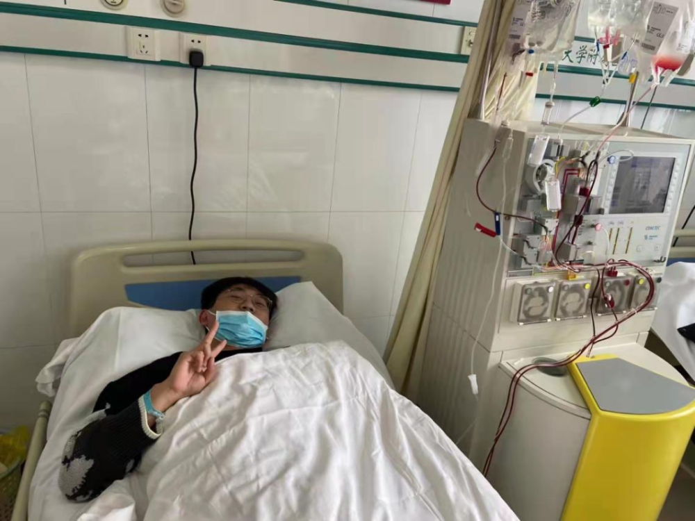 试管婴儿技术或可拯救濒危动物？专家：有前景，但并不容易