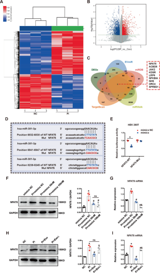 衰老为何会突然加速？Nature：剑桥团队揭示血液成分会在这一特定年龄发生“灾难性”变化