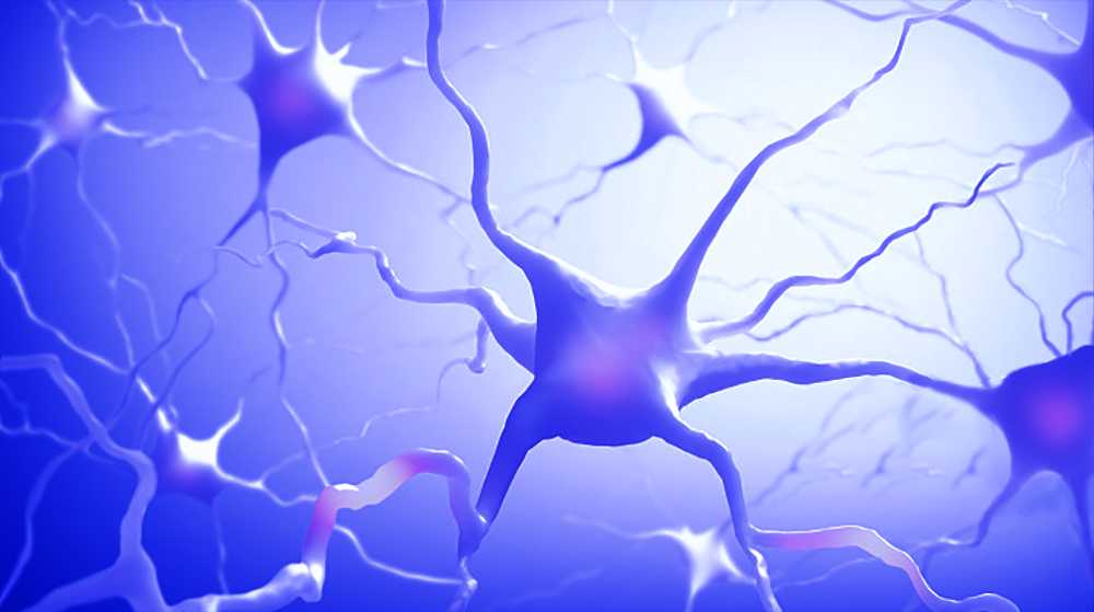 京保皖三地联手！为了一个11个月大的幼小生命