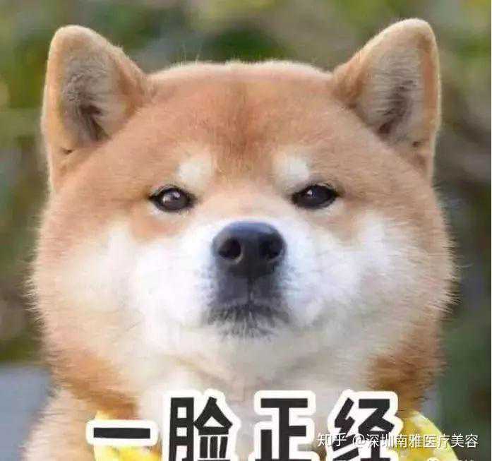 类似商品和服务区分表第五大类（一）药品 医用营养品 净化剂 杀虫剂