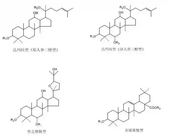 人参皂苷特征结构