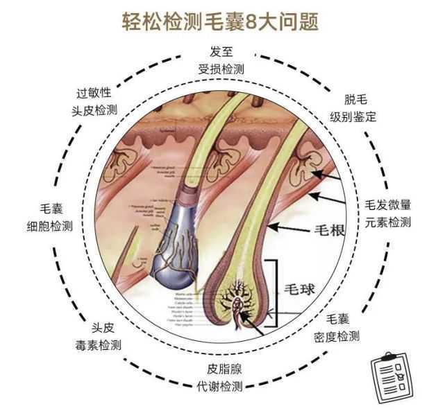 呼和浩特加快布局未来产业