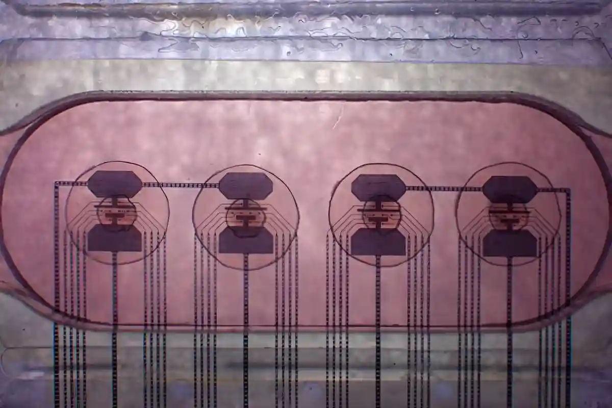 开发全球首款生物活体处理器，瑞士FinalSpark初创公司欲颠覆行业