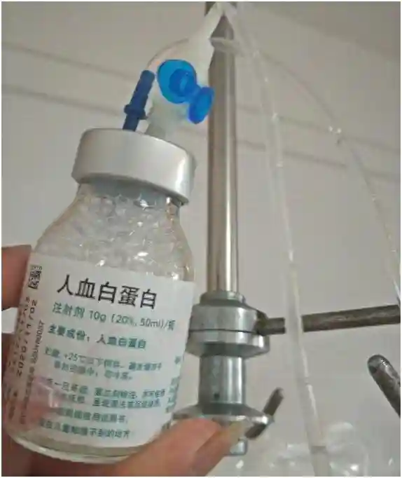 人血白蛋白！是否能增强免疫力？