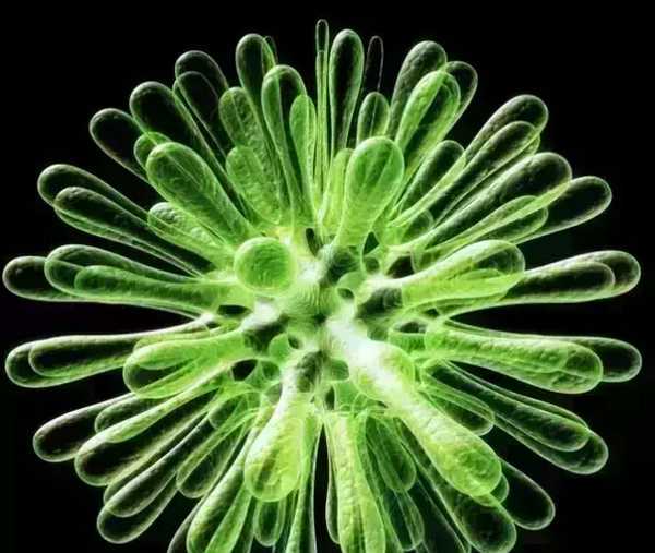 无偿献血，为什么用血的时候不是免费的？献血“利大于弊”?