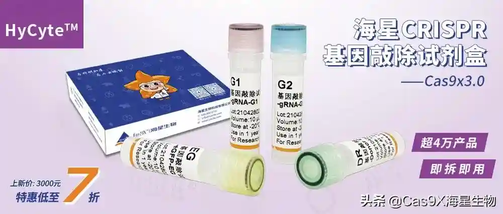 Cas9x3.0轻松解决基因敲除的各种困扰