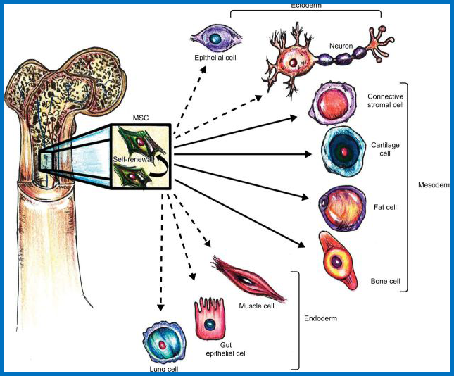 “地贫娃娃”的重生梦