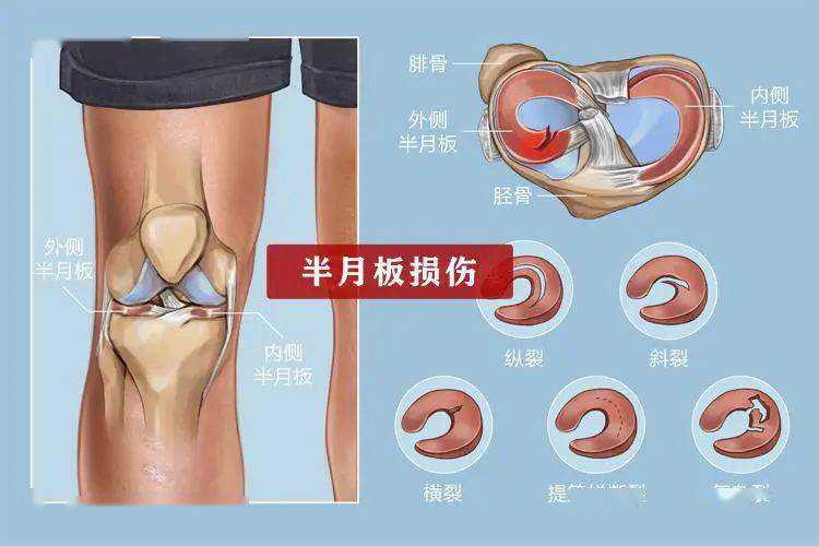 “干细胞美容抗衰老”纠纷案暴露行业乱象