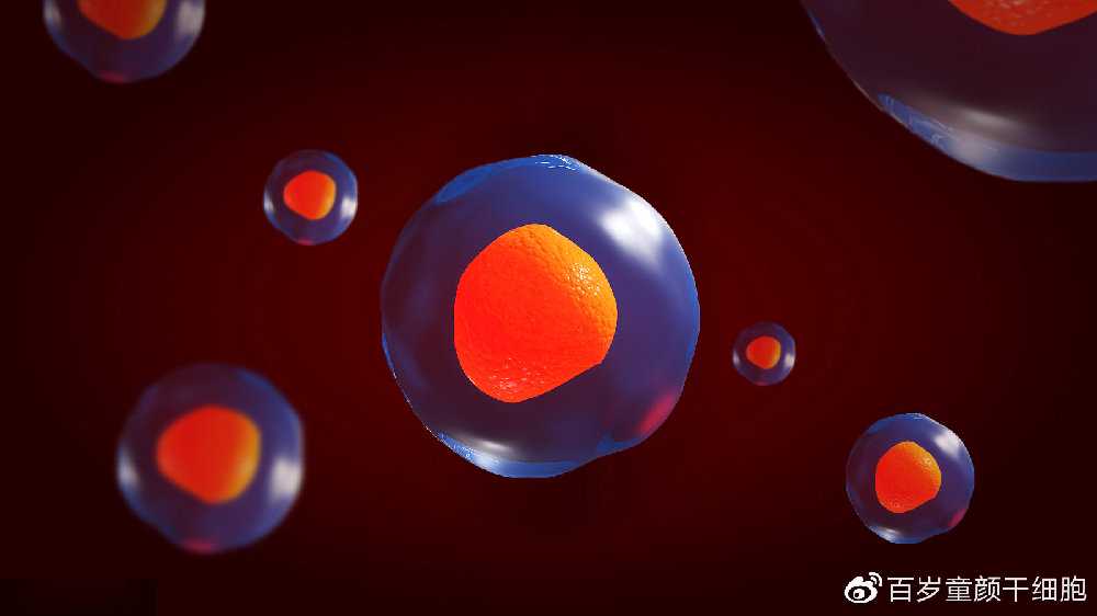 山东首例！7岁男孩患极重型再障，自体脐带血救命