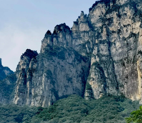 老太带3名弃婴广州谋生 靠捡废品撑起整个家