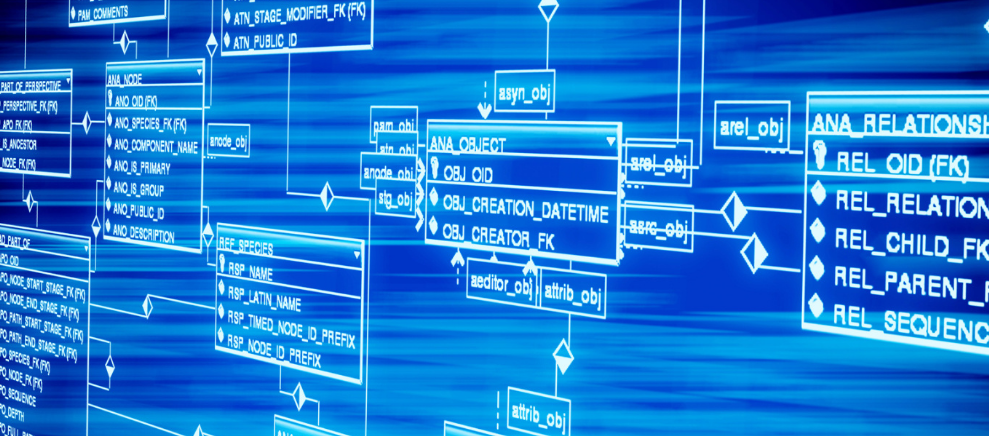 捐献206毫升造血干细胞 蚌埠市民安广喜好样的